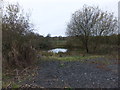 Pond south of Little Birks Farm