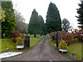 Tree-lined entrance to Forest House SE of Coed-y-Paen