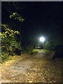 Footpath from the Dell car park at night