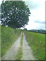 SO4429 : Lane to Grafton Oak by Gordon Hatton