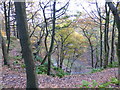 The gorge at Castle Clough in autumn