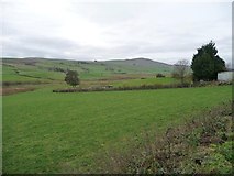 SH9150 : Farmland in the Merddwr valley by Christine Johnstone