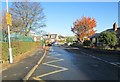 Ashlea Avenue - looking towards Daisy Road