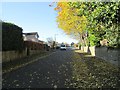 Toothill Avenue - looking towards Lyndhurst Avenue