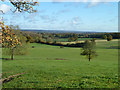 View east from Ramsdean Road