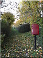 Footpath & Low Street Postbox