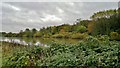 Across the River Trent