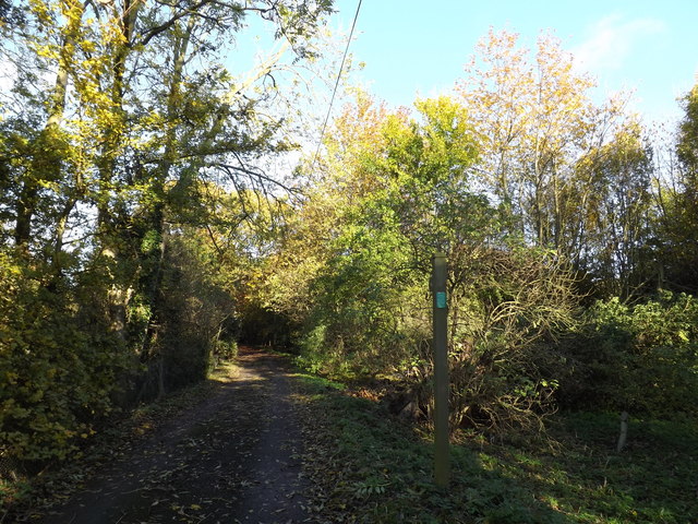 Footpath to Hillhouse Farm & Kettleburgh Lodge