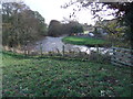 River Eden