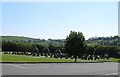 The graveyard at St Macartan