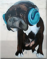 Boxer dog mural, Caledonian Road