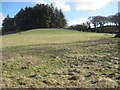 Field near Tyddyn Mawr