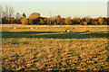 Site of Buslingthorpe village