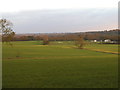 Fields by Barnet Gate Lane