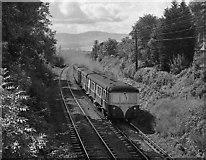J4079 : MED approaching Marino station - 1975 by The Carlisle Kid
