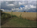 TG3301 : Field path running NE from Low Common Rd, Thurton by Colin Park