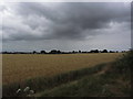 On Paston Way - Storm clouds gathering over N Walsham