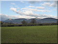 View to the Sugar Loaf and Abergavenny from the lower slopes of Ysgyryd Fach