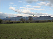 SO3013 : View to the Sugar Loaf and Abergavenny from the lower slopes of Ysgyryd Fach by Jeremy Bolwell