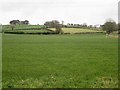 Farmland south of Tallentire