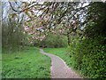 Blackley Forest, Manchester