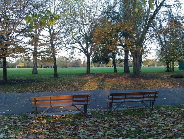 Benches amid autumn leaves in Victoria Park