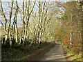 Road from Friarshawmuir