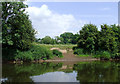 River bank east of Holt Fleet, Worcestershire