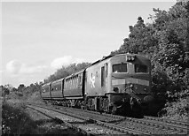 J4582 : Special train approaching Helen's Bay station by The Carlisle Kid