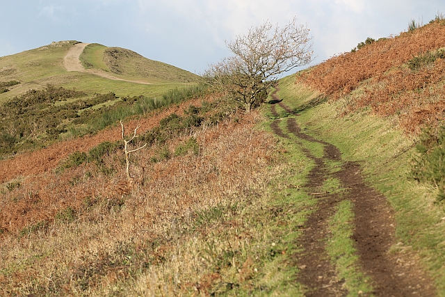 The easy path up Pinnacle Hill
