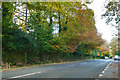 Autumn on the old A3