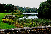 L9884 : Westport House Grounds - Carrowbeg River south of Bridge to Wesport House by Joseph Mischyshyn