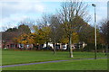 Trees on the edge of Braunstone Park