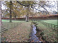 NZ0461 : Cockley Burn, Bywell by Les Hull