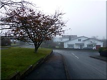 H4672 : A misty morning, Omagh by Kenneth  Allen