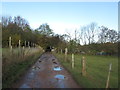 Lane towards the allotments east of Maltby