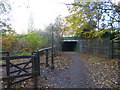 South Wimbledon, railway bridge