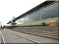 Terracing at Greyhound Stadium