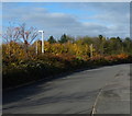 Autumn colours along Kingsway North