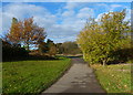 Path at Thorpe Astley