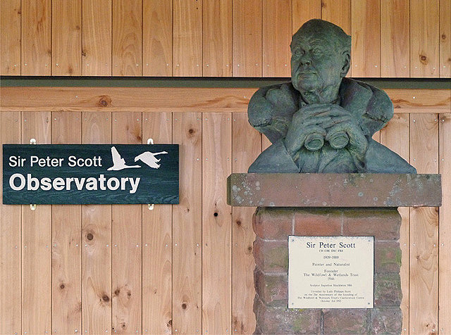 A Sir Peter Scott bust at Caerlaverock Wetland Centre