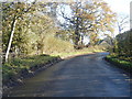 Lees Lane near Martin