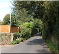 Cothelstone Road, Bishops Lydeard