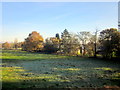 Frosty Field Near Redditch