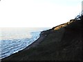 TQ9973 : Cliff erosion on the north coast of Sheppey by Chris Whippet