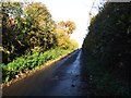 Second Avenue, near Eastchurch