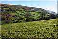 View to Bryn Arw