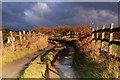 A muddy lane in the fiery sun