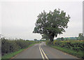 A456 north of Brimfield