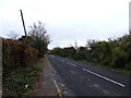 Canterbury Road, near Boughton-under-Blean